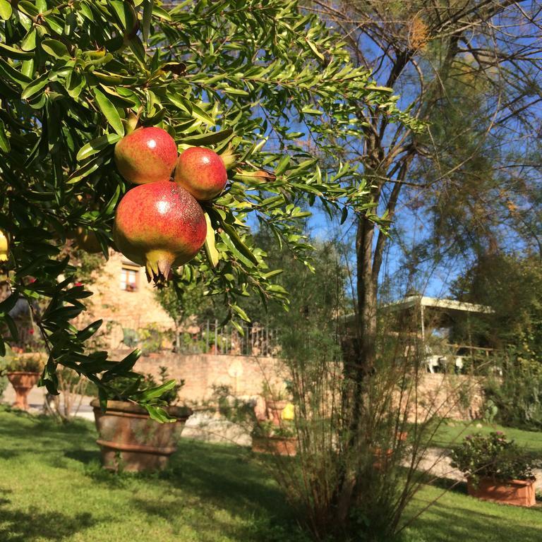 Podere Il Pero Siena Kültér fotó